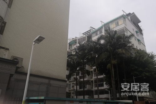 城守前新村優(yōu)點 不足,城守前新村怎么樣,城守前新村周邊房產(chǎn)中介經(jīng)紀人評價 福州安居客