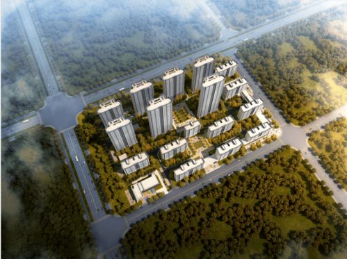 國安建設(shè)集團(tuán)榮獲中梁地產(chǎn)集團(tuán)合作總包單位優(yōu)秀供應(yīng)商稱號(hào)