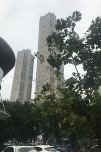 世茂茶亭臻園綜合評析：優(yōu)點(diǎn)、不足及周邊中介評價