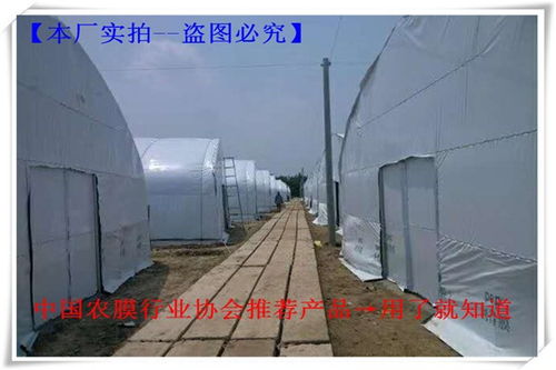 余江8絲10絲12絲白色大棚薄膜 暢銷全國