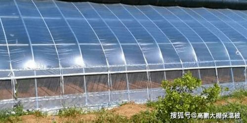 大棚薄膜安裝發(fā)皺起褶的原因與解決方法