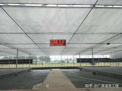 連棟薄膜溫室大棚 高效利用與薄膜應(yīng)用的多元場景分析
