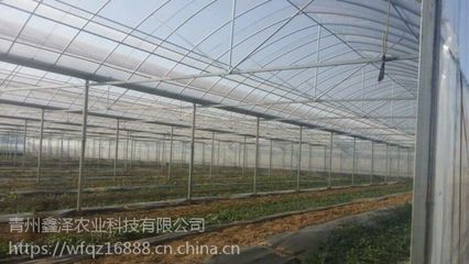汕頭生態(tài)簡易連棟薄膜溫室廠家批發(fā) 大棚薄膜與現(xiàn)代農(nóng)業(yè)的結(jié)合